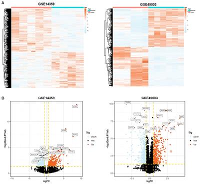 Single-cell RNA sequencing reveals the communications between tumor microenvironment components and tumor metastasis in osteosarcoma